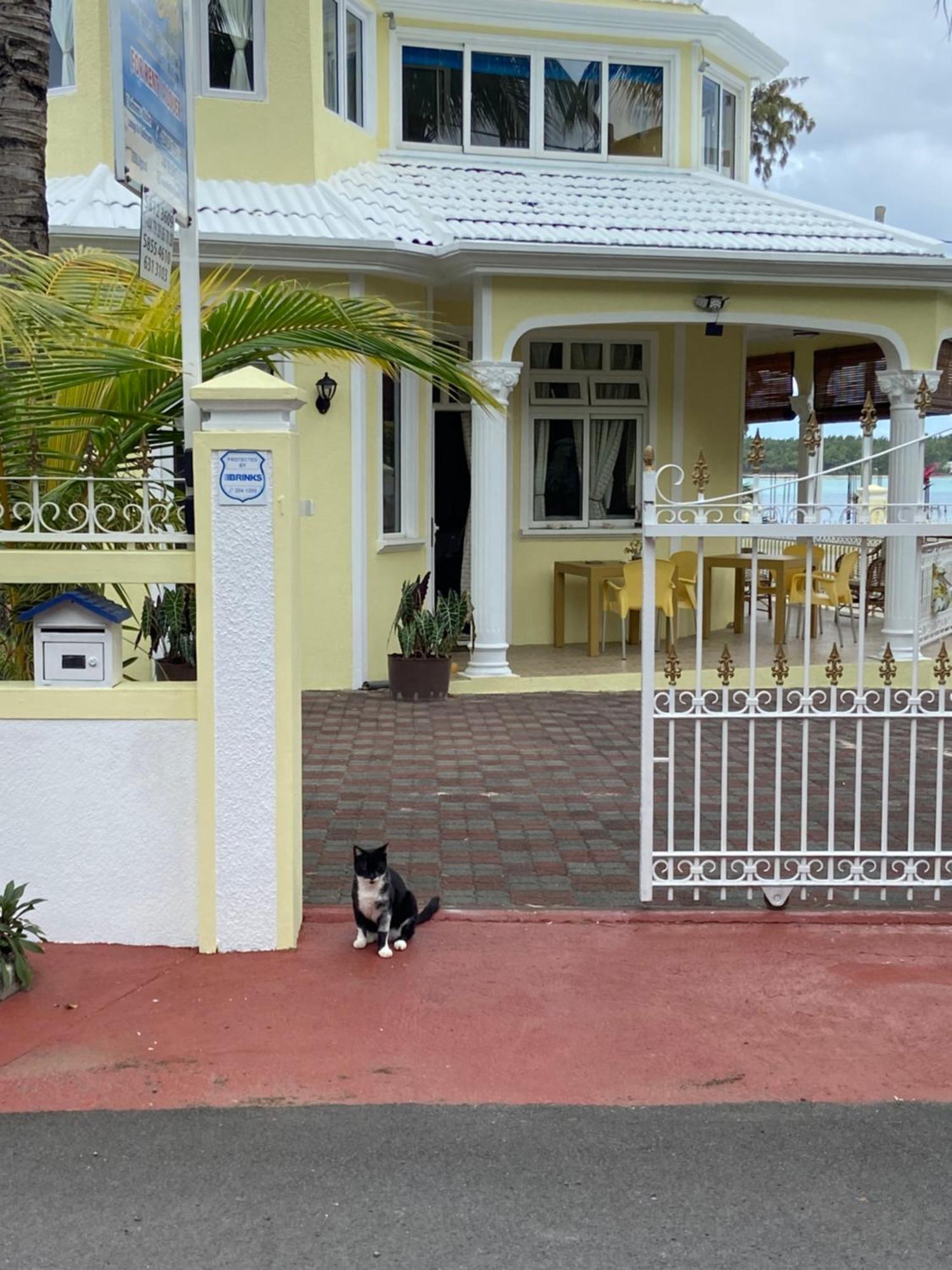 בלו ביי Villa Bella Charming Beachfront Guesthouse מראה חיצוני תמונה